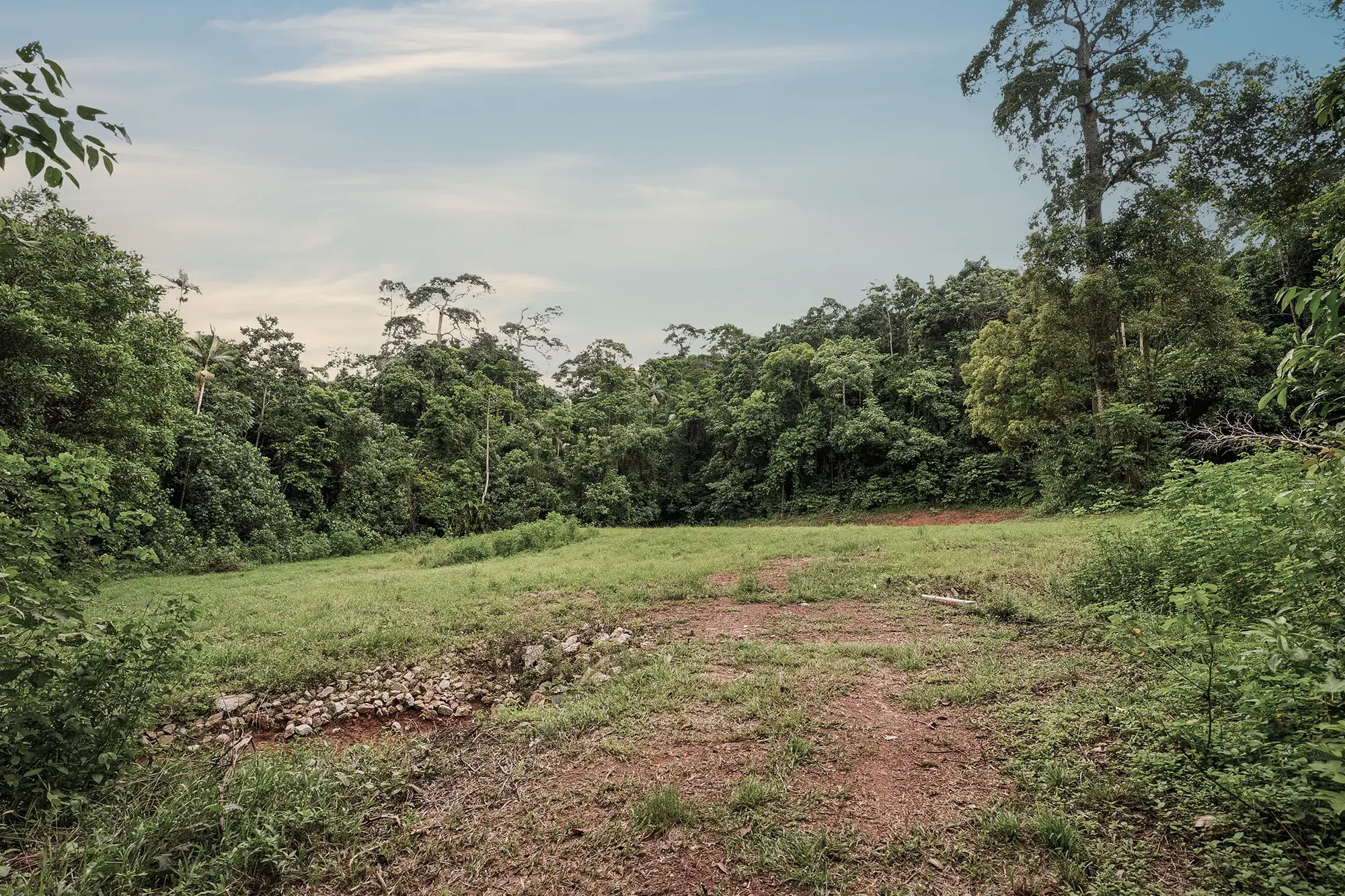 Lot 14, the cleared site as it stands today