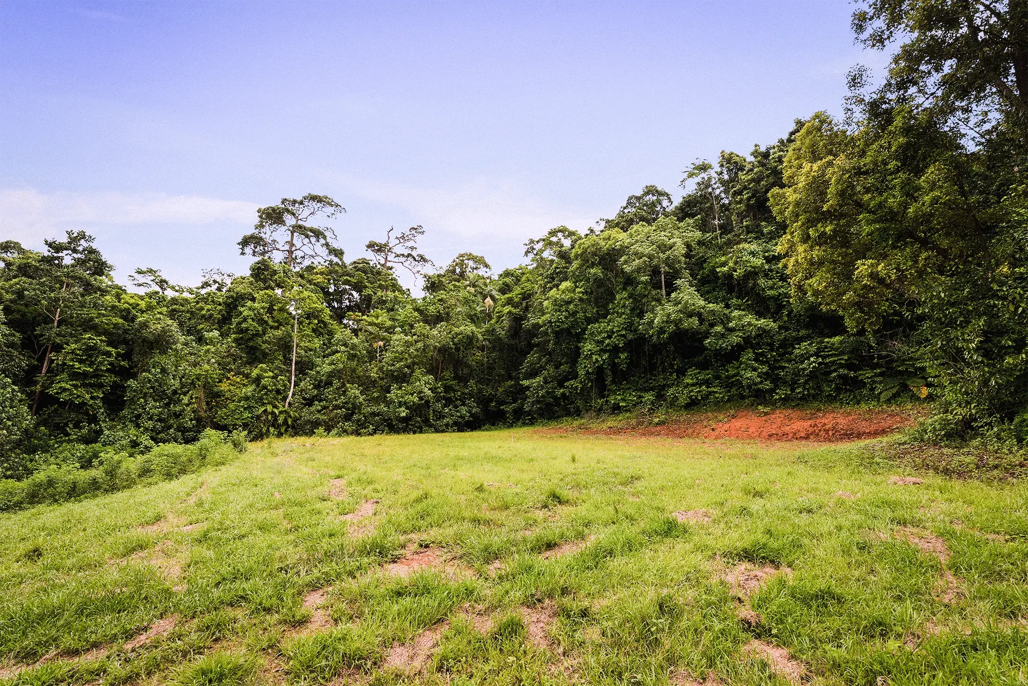 Lot 14 from the ground