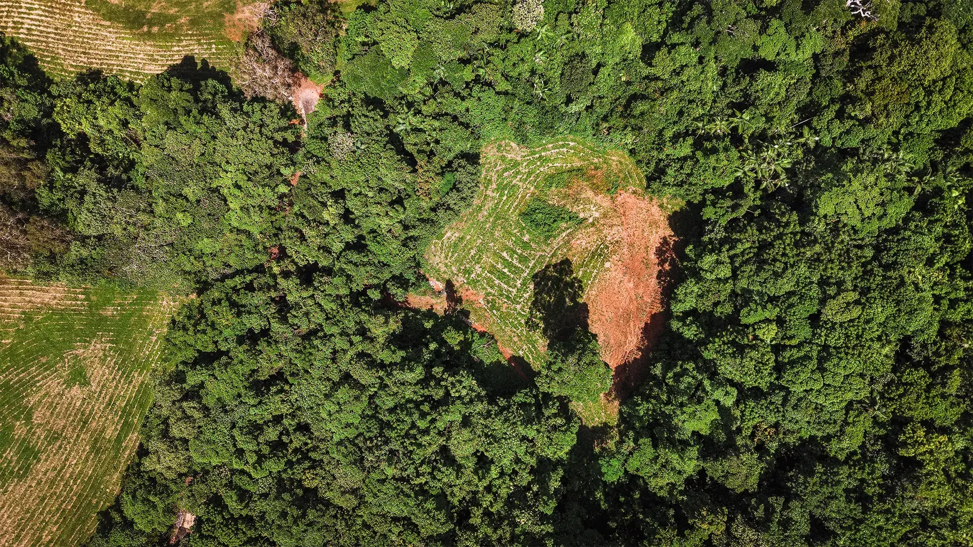 Lot 14 from directly above, the surveyed boundary drawn over the clean plan aerial