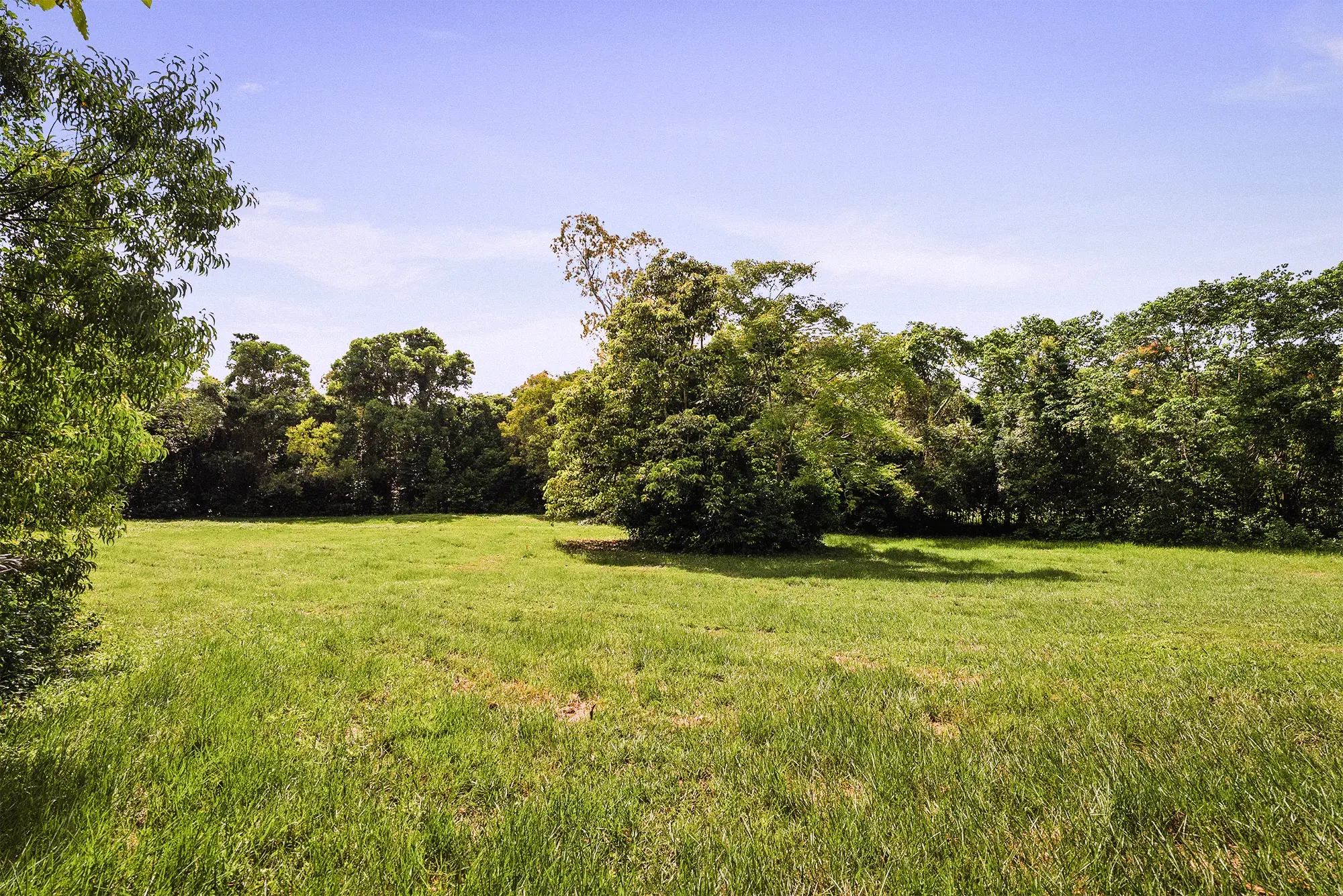 Lot 15 from the ground