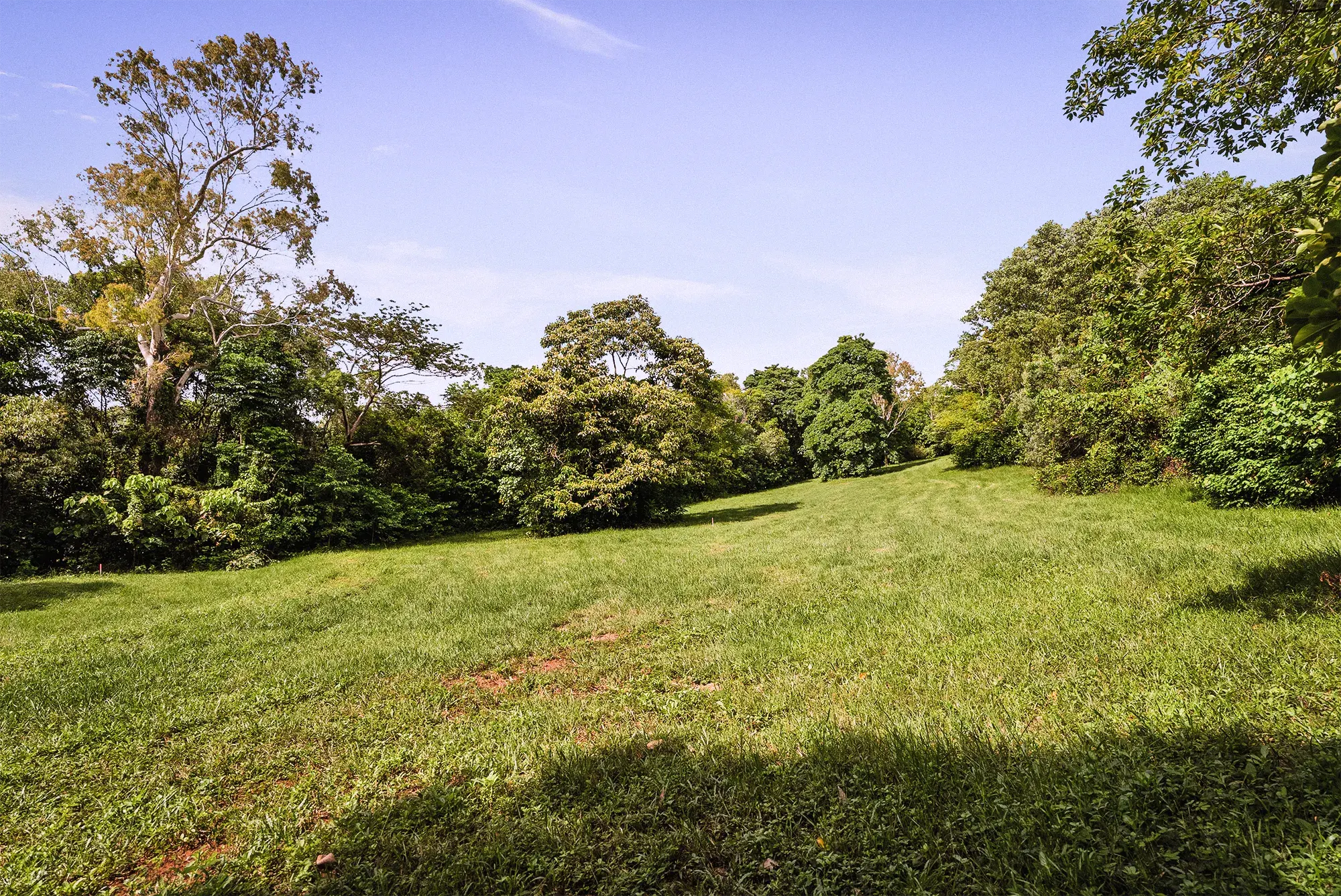 Lot 15 from the ground