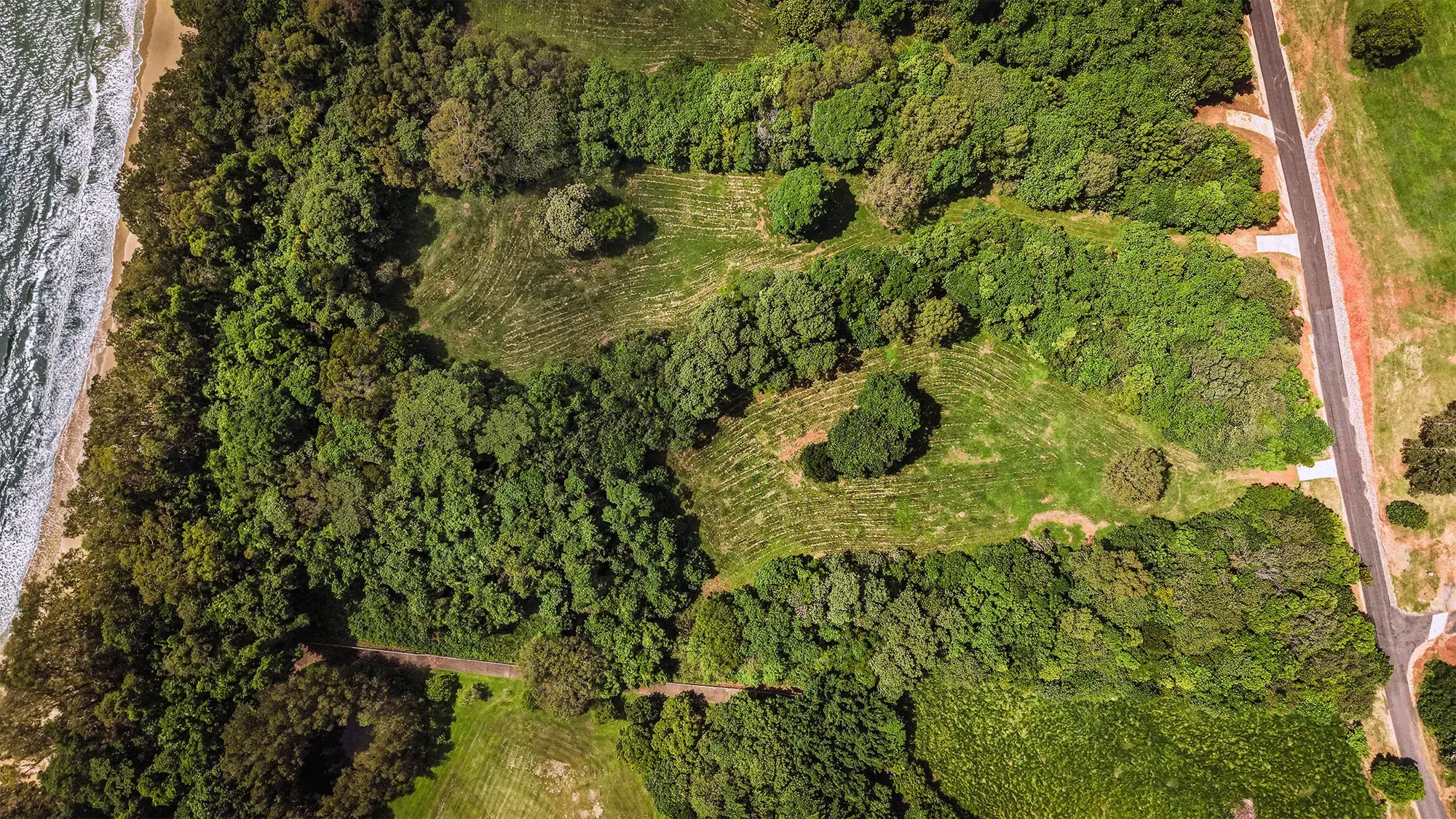 Lot 15 from directly above, the surveyed boundary drawn over the clean plan aerial