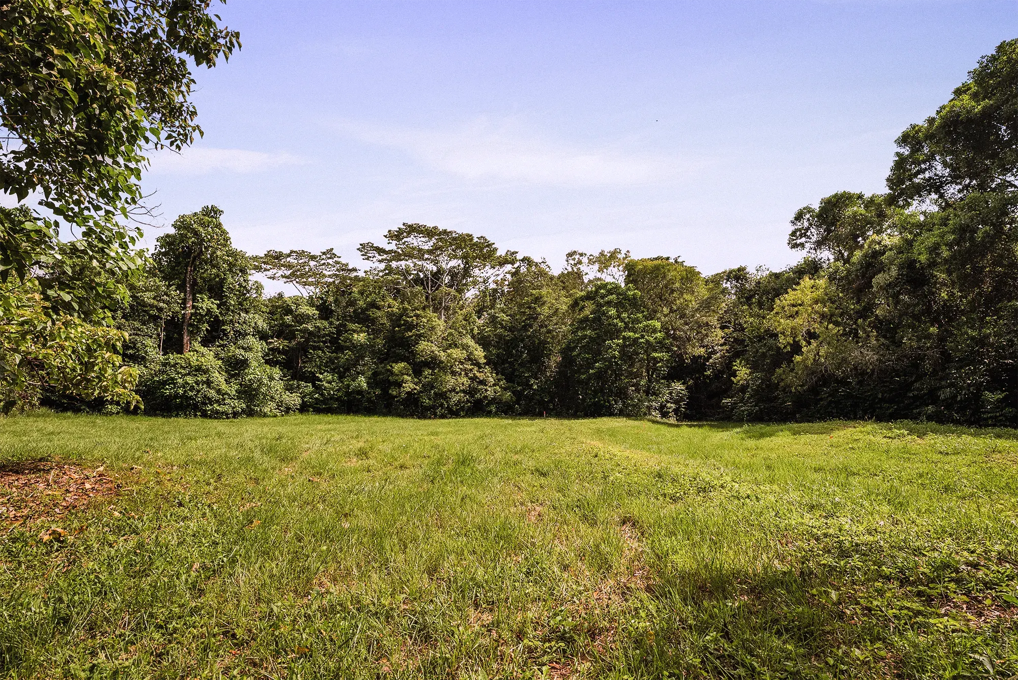 Lot 16 from the ground