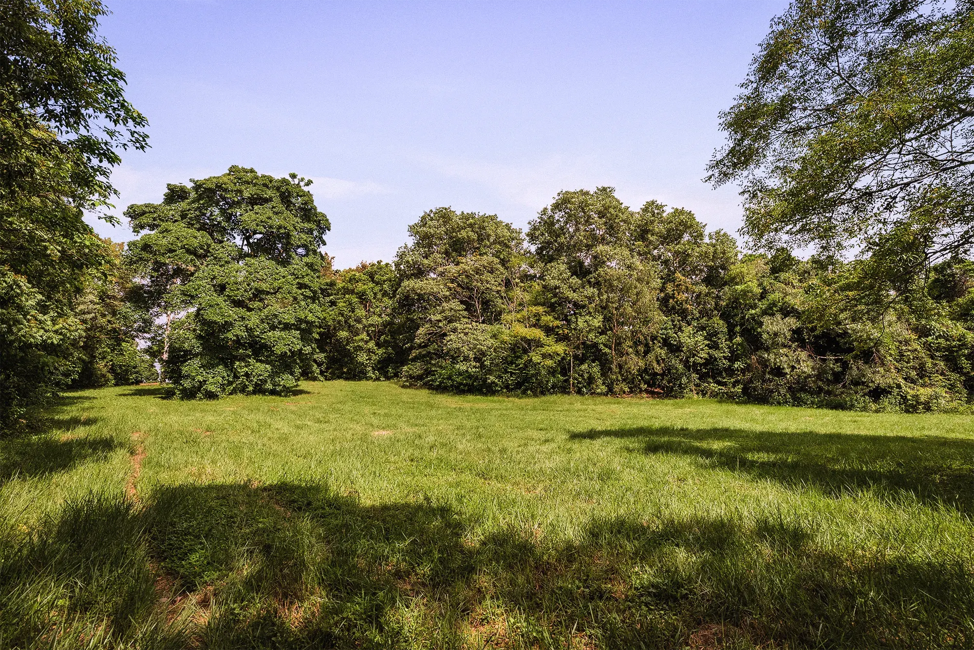 Lot 16 from the ground