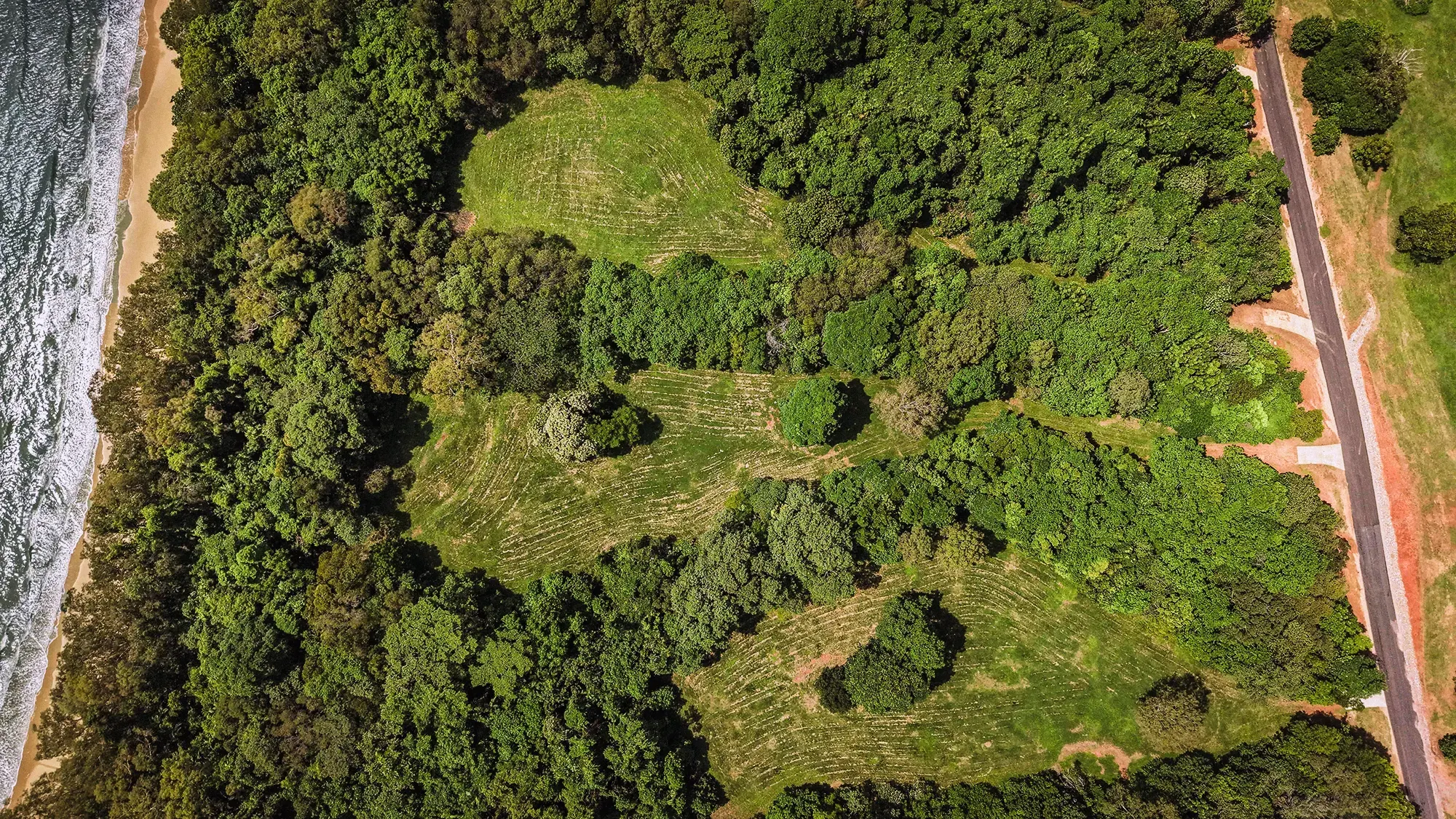 Lot 16 from directly above, the surveyed boundary drawn over the clean plan aerial