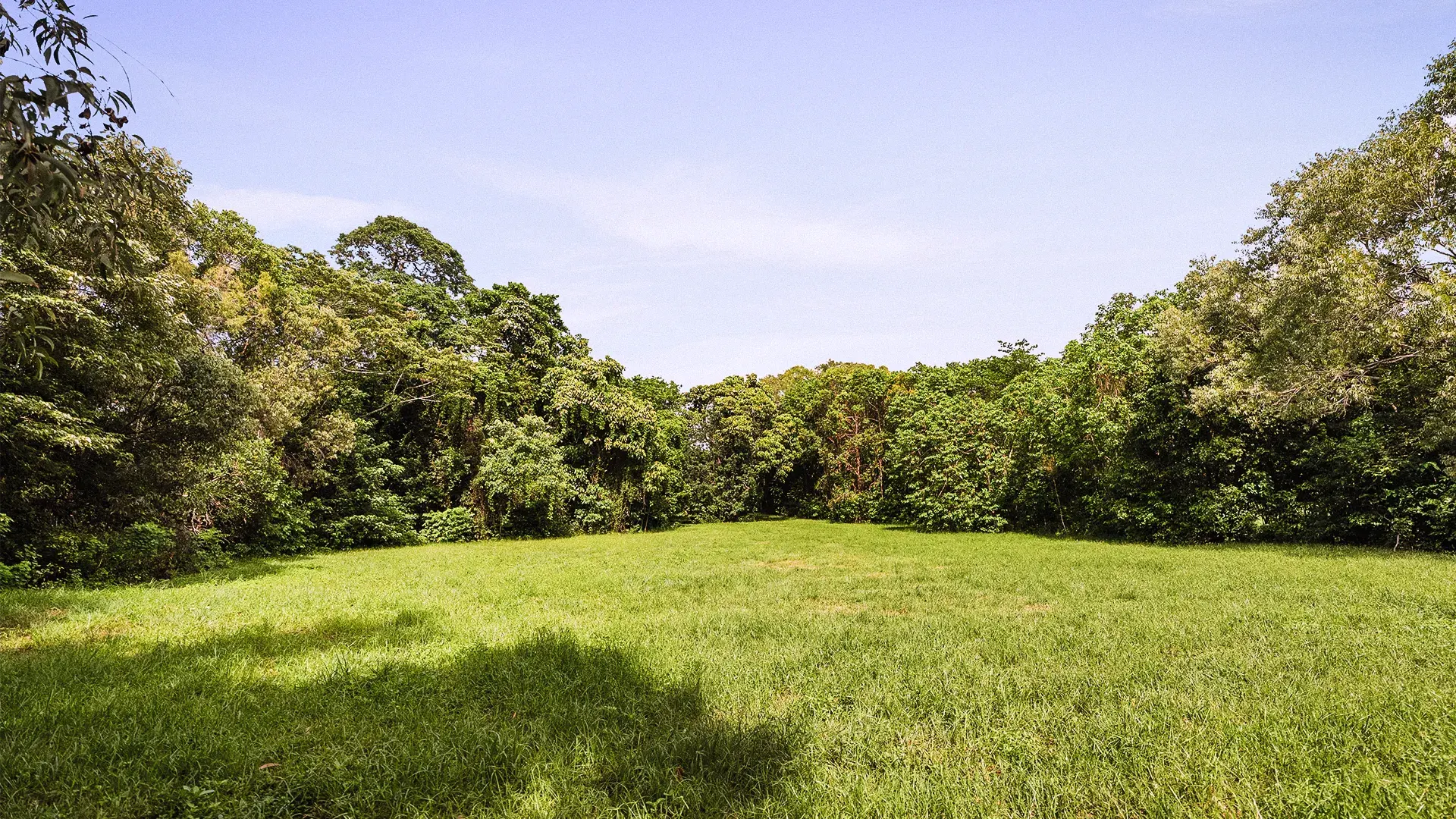 Lot 17, the cleared site as it stands today