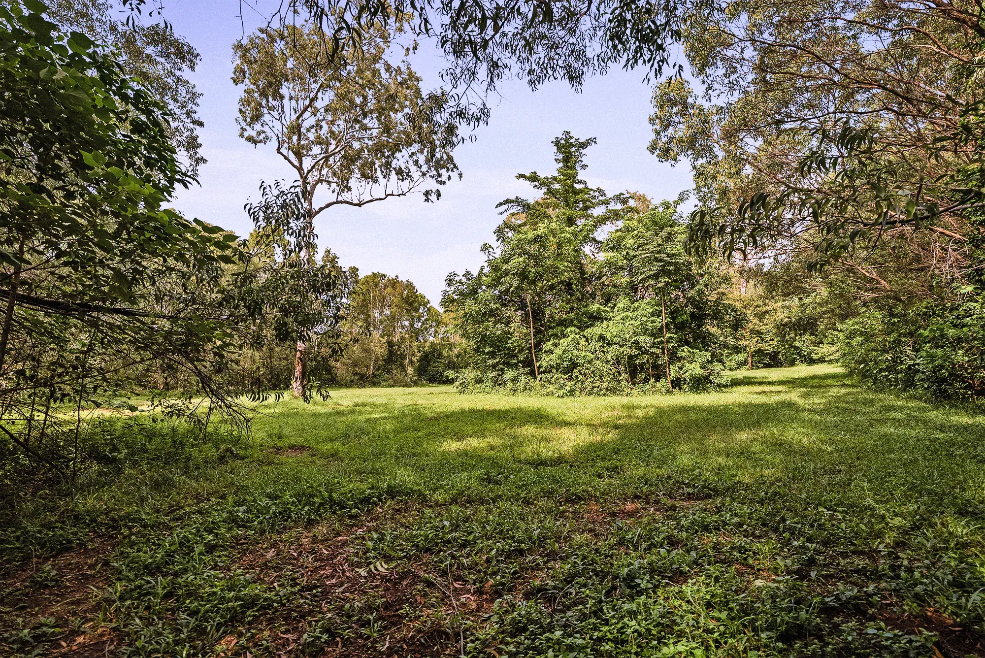 Lot 17 from the ground