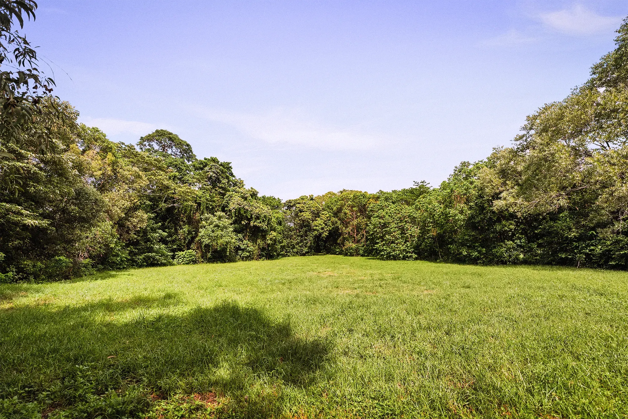 Lot 17 from the ground