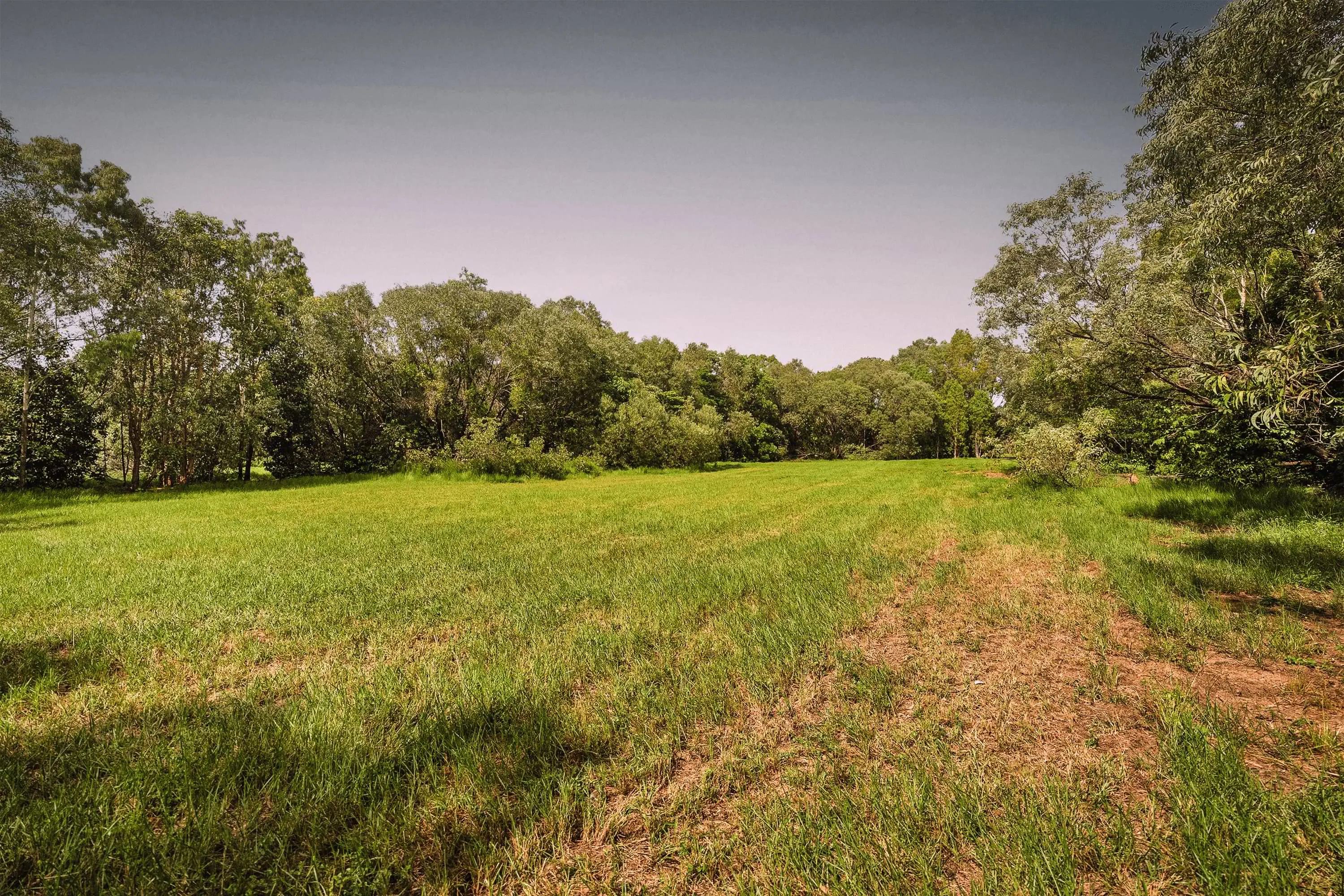 Lot 18, the cleared site as it stands today