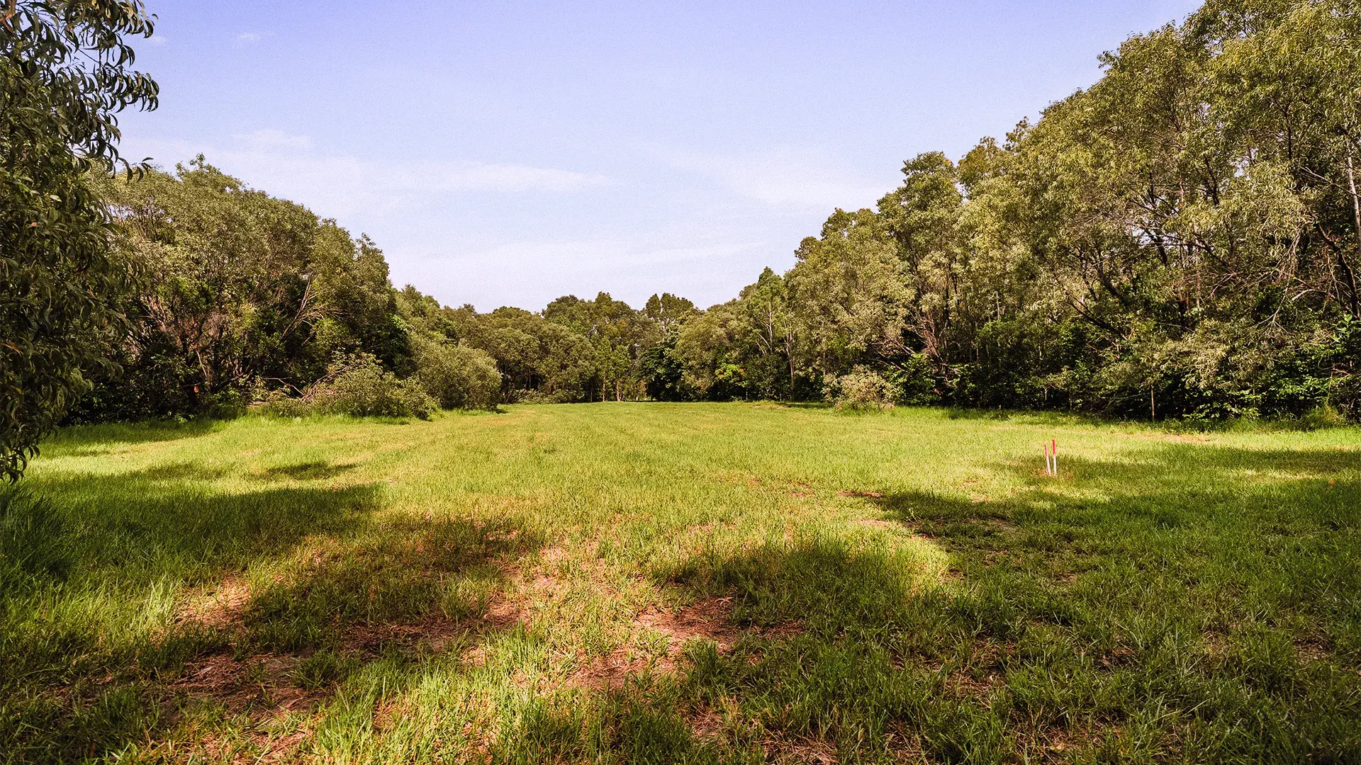 Lot 18, the cleared building pad edged by rainforest