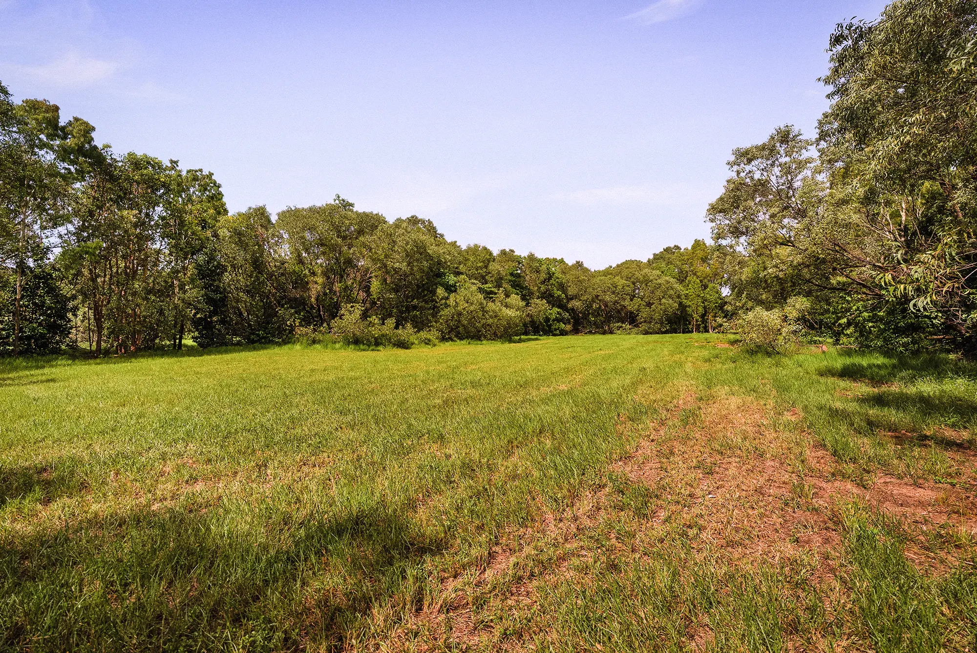 Lot 18 from the ground