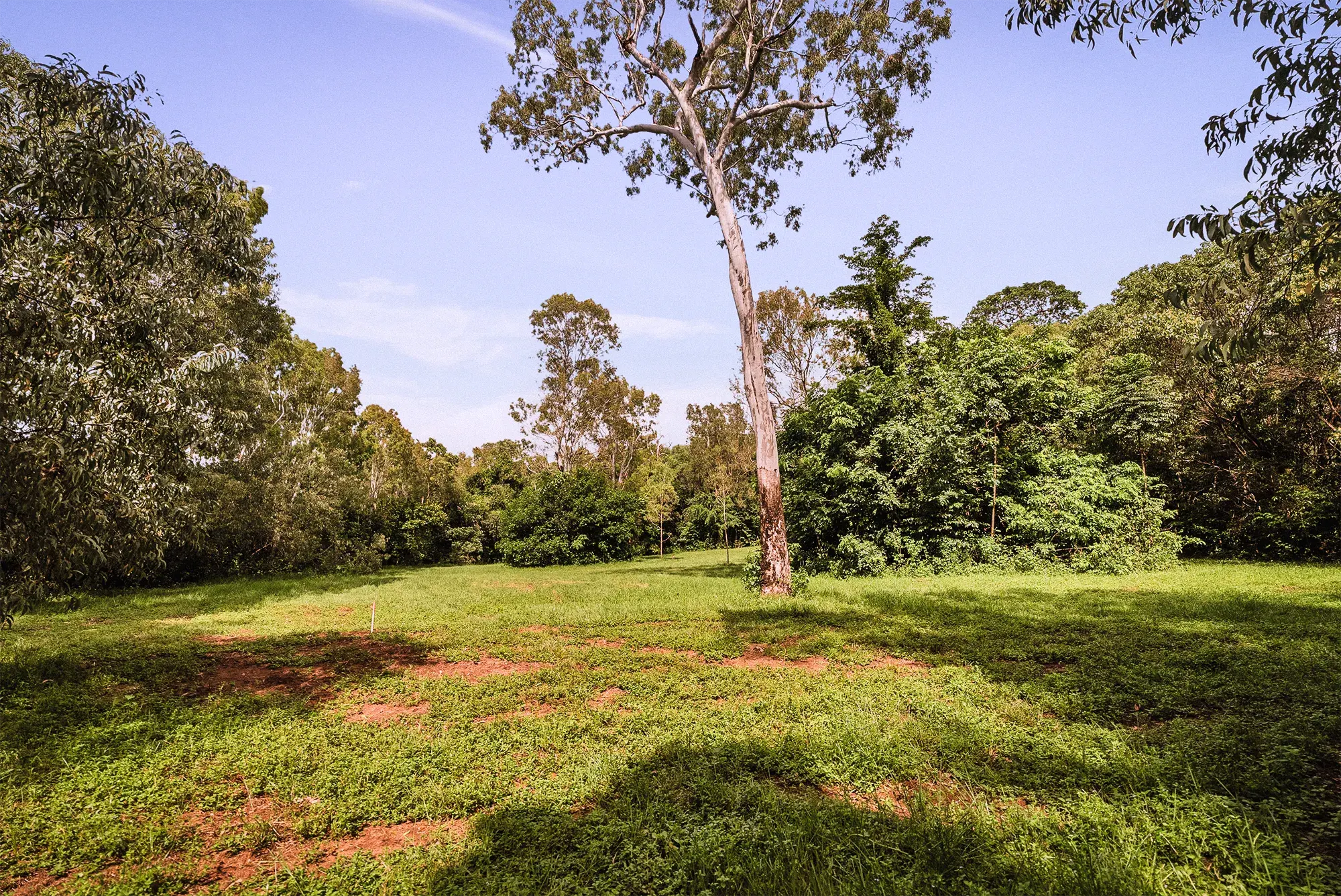 Lot 18 from the ground