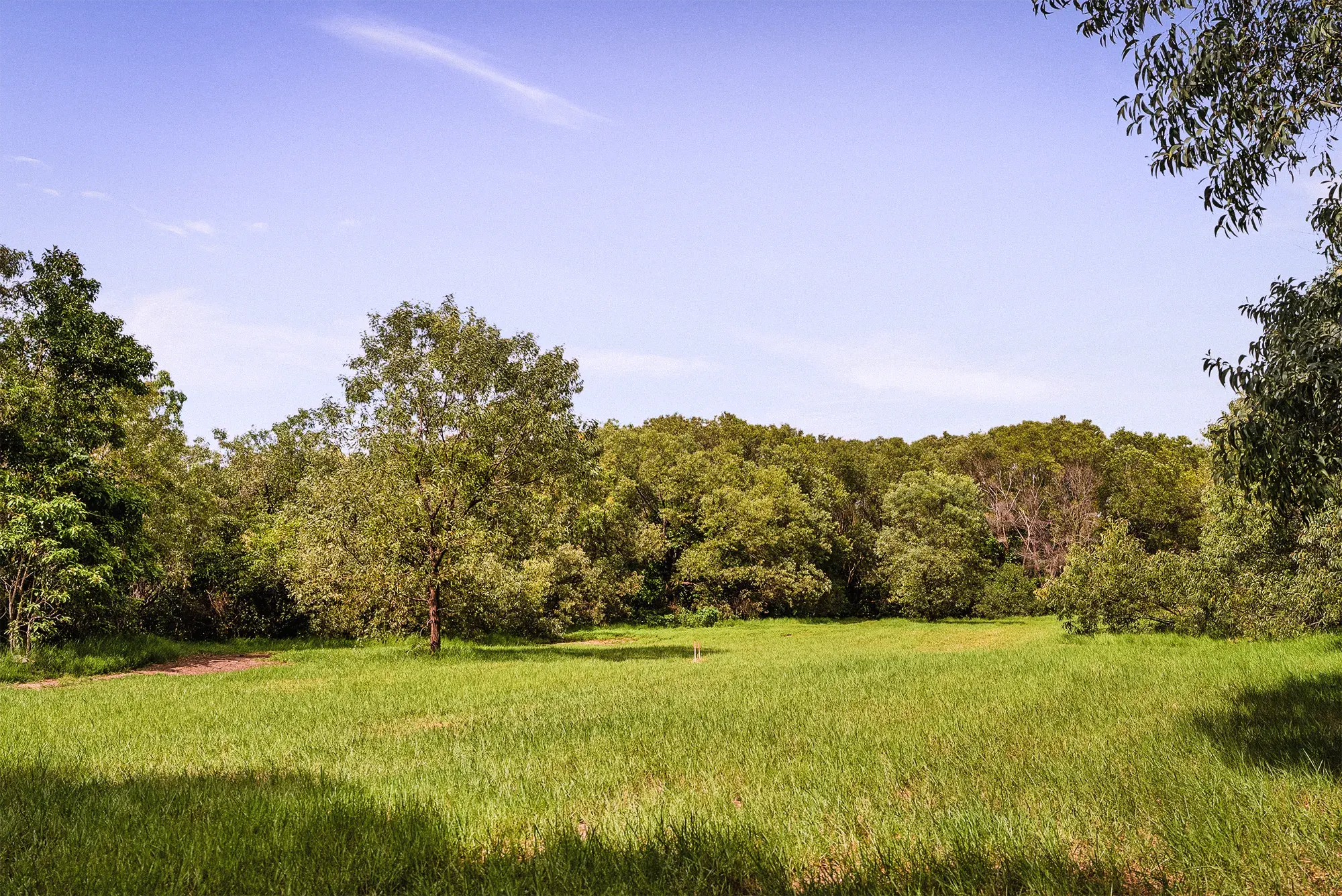 Lot 19, the cleared site as it stands today