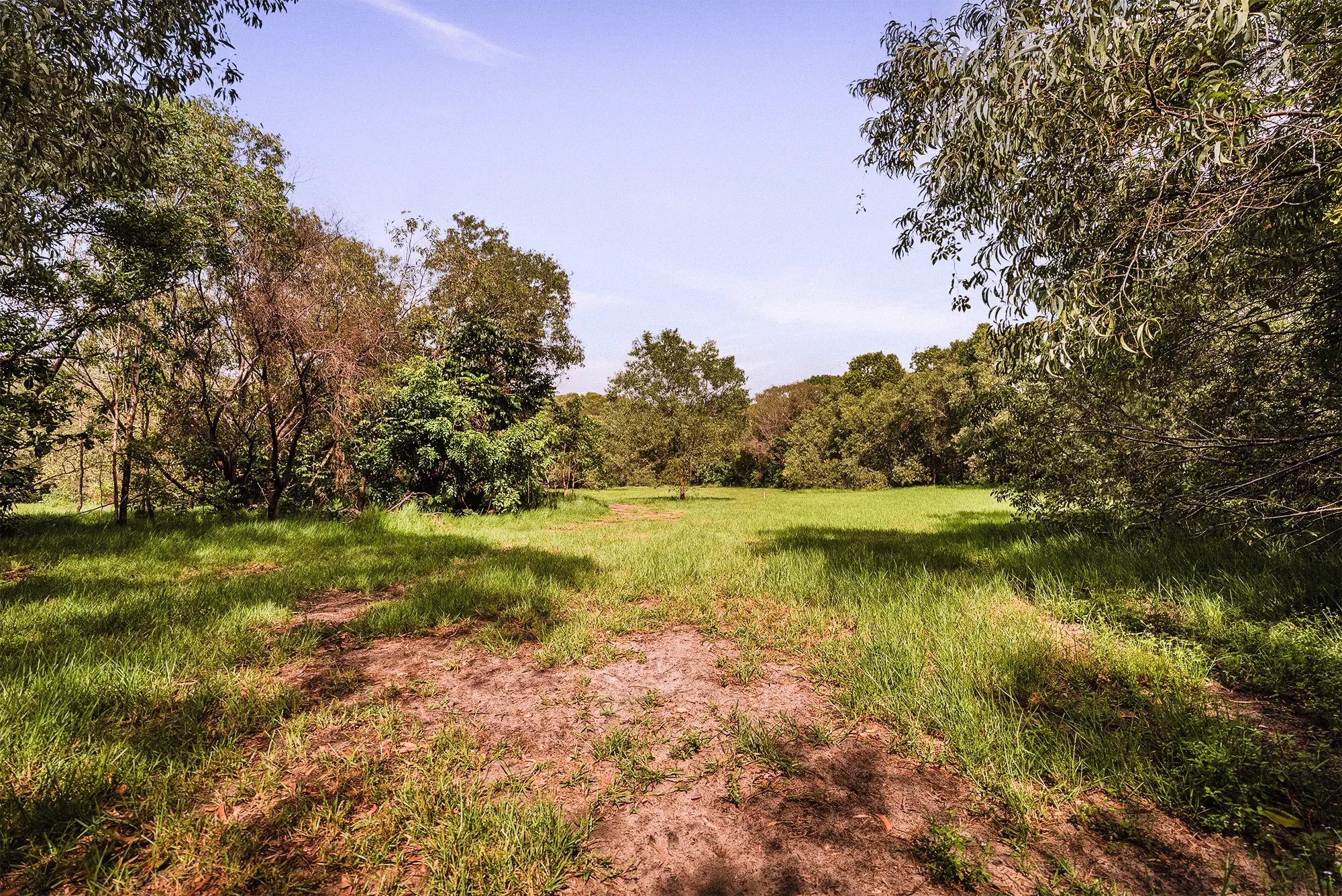 Lot 19 from the ground