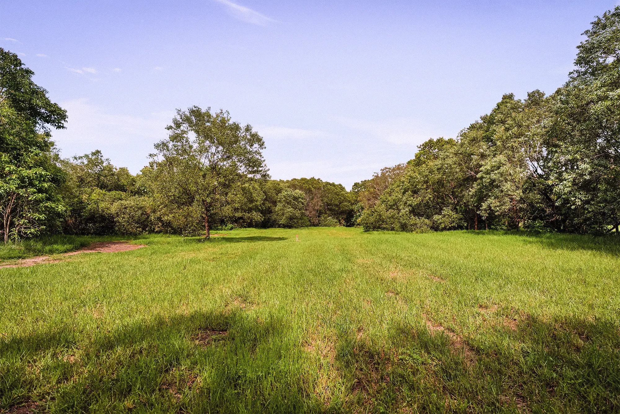 Lot 19 from the ground