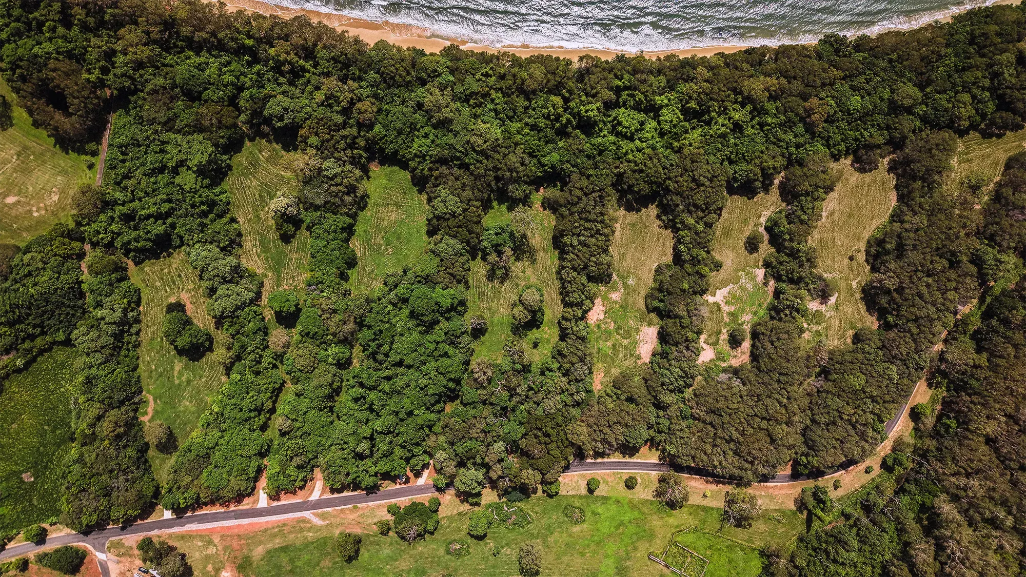 Lot 19 from directly above, the surveyed boundary drawn over the clean plan aerial