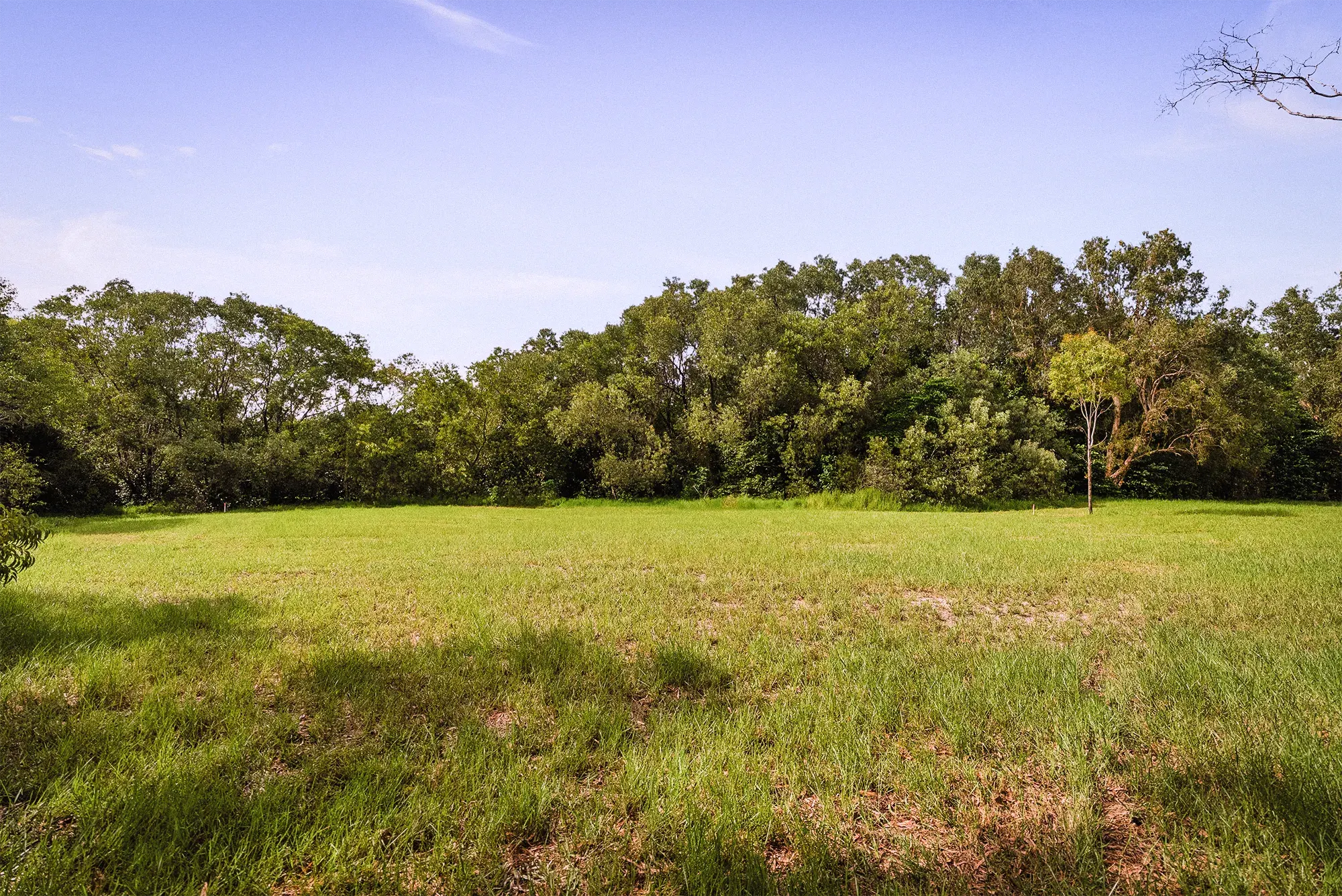 Lot 20 from the ground