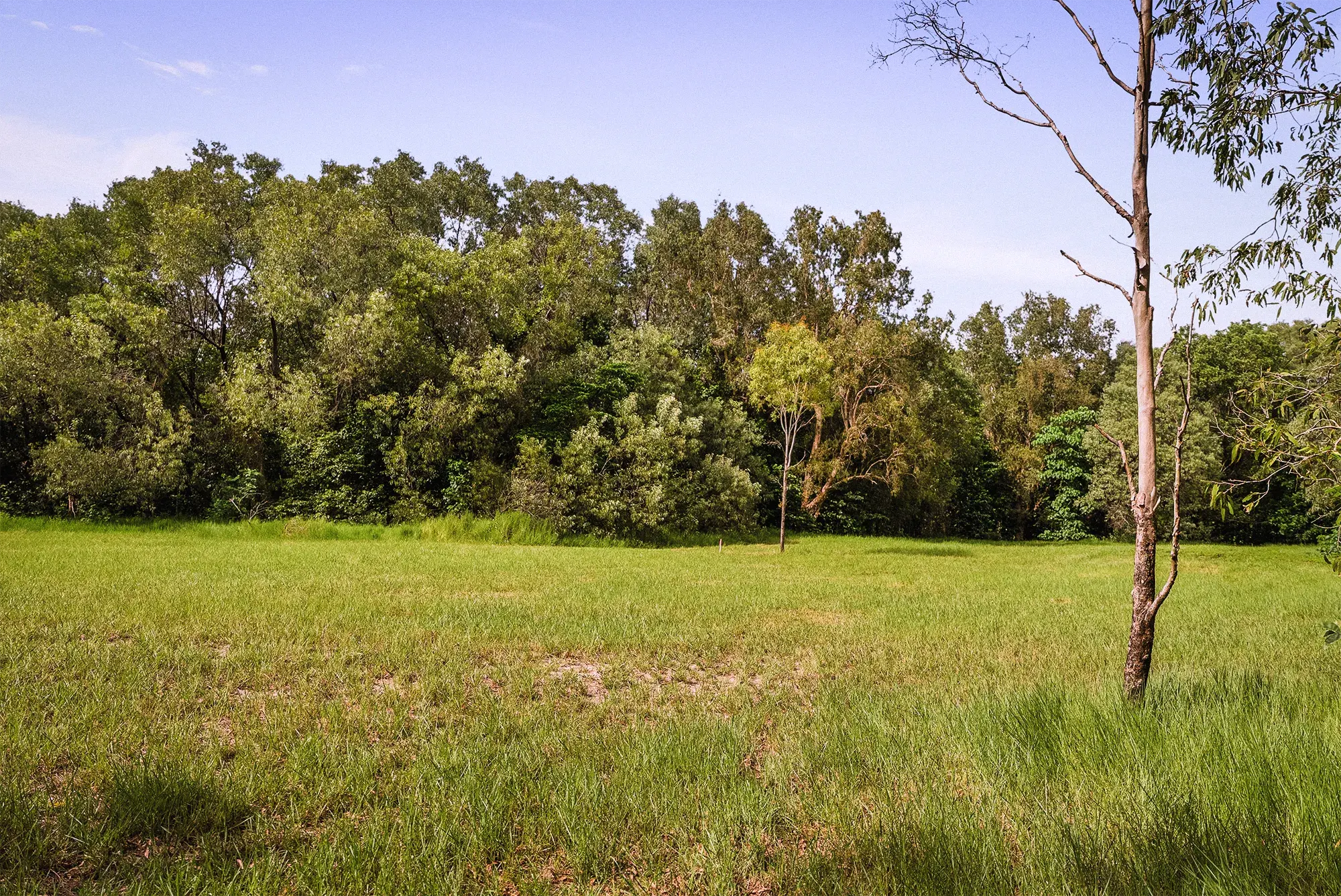 Lot 20 from the ground