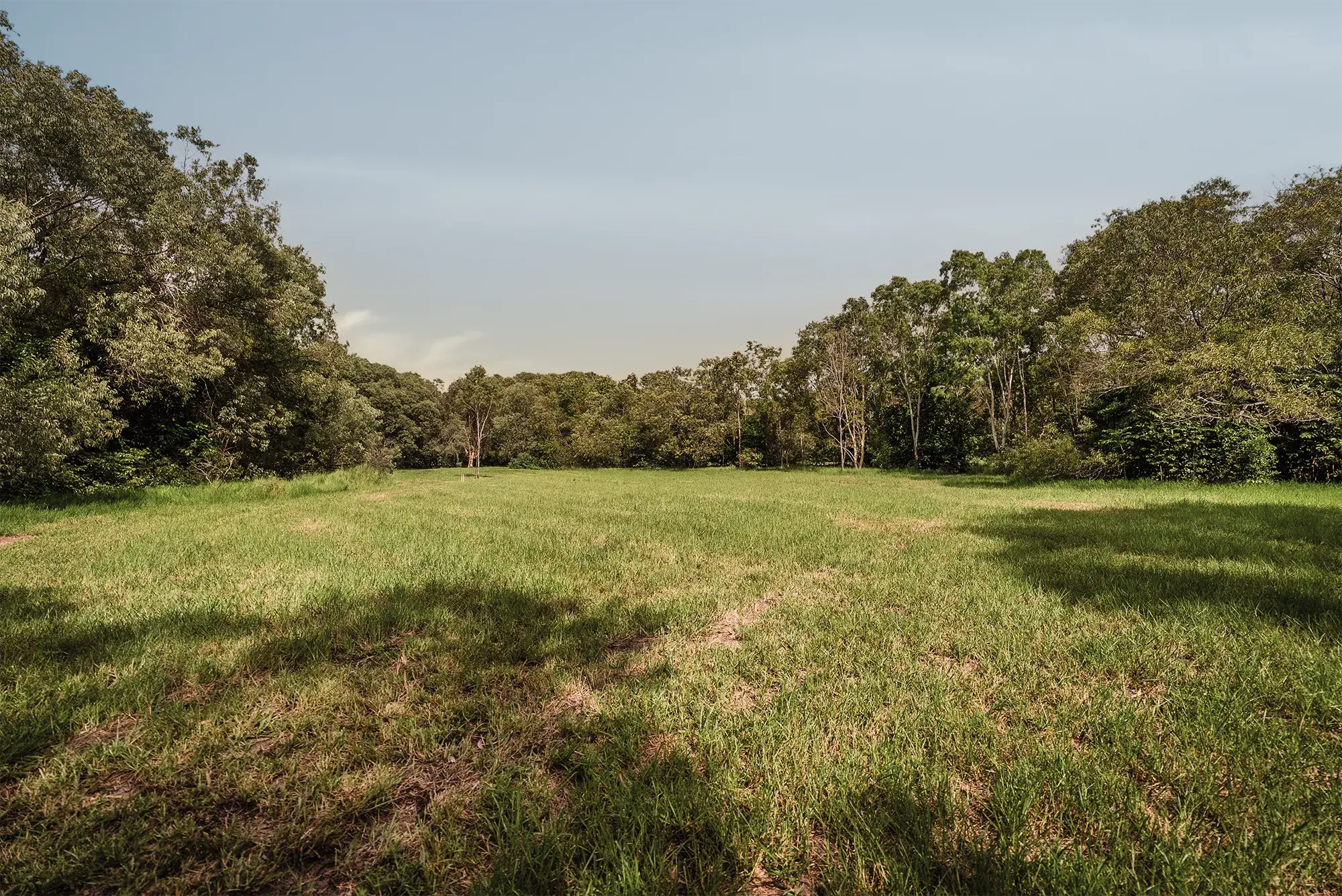 Lot 21, the cleared building pad edged by rainforest