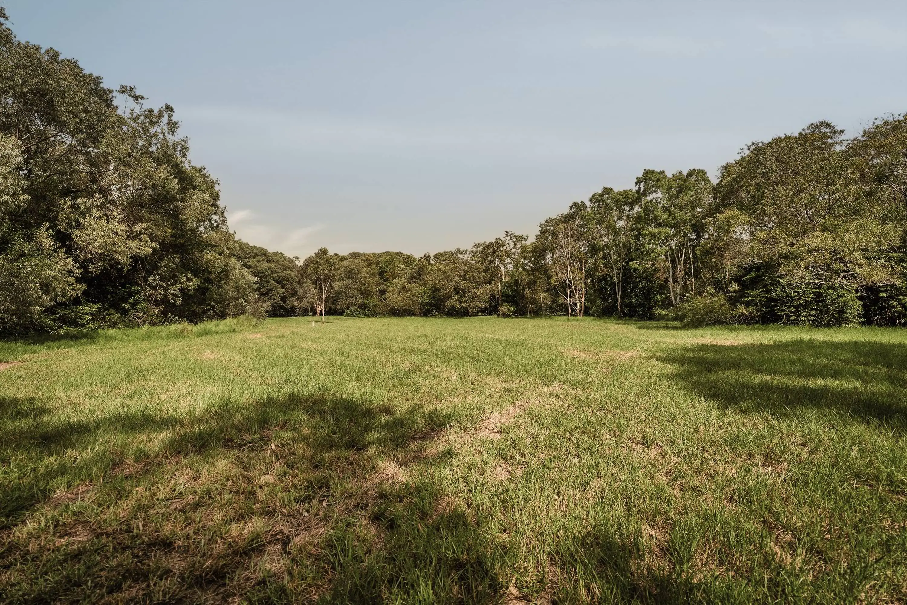 Lot 21, the cleared building pad edged by rainforest