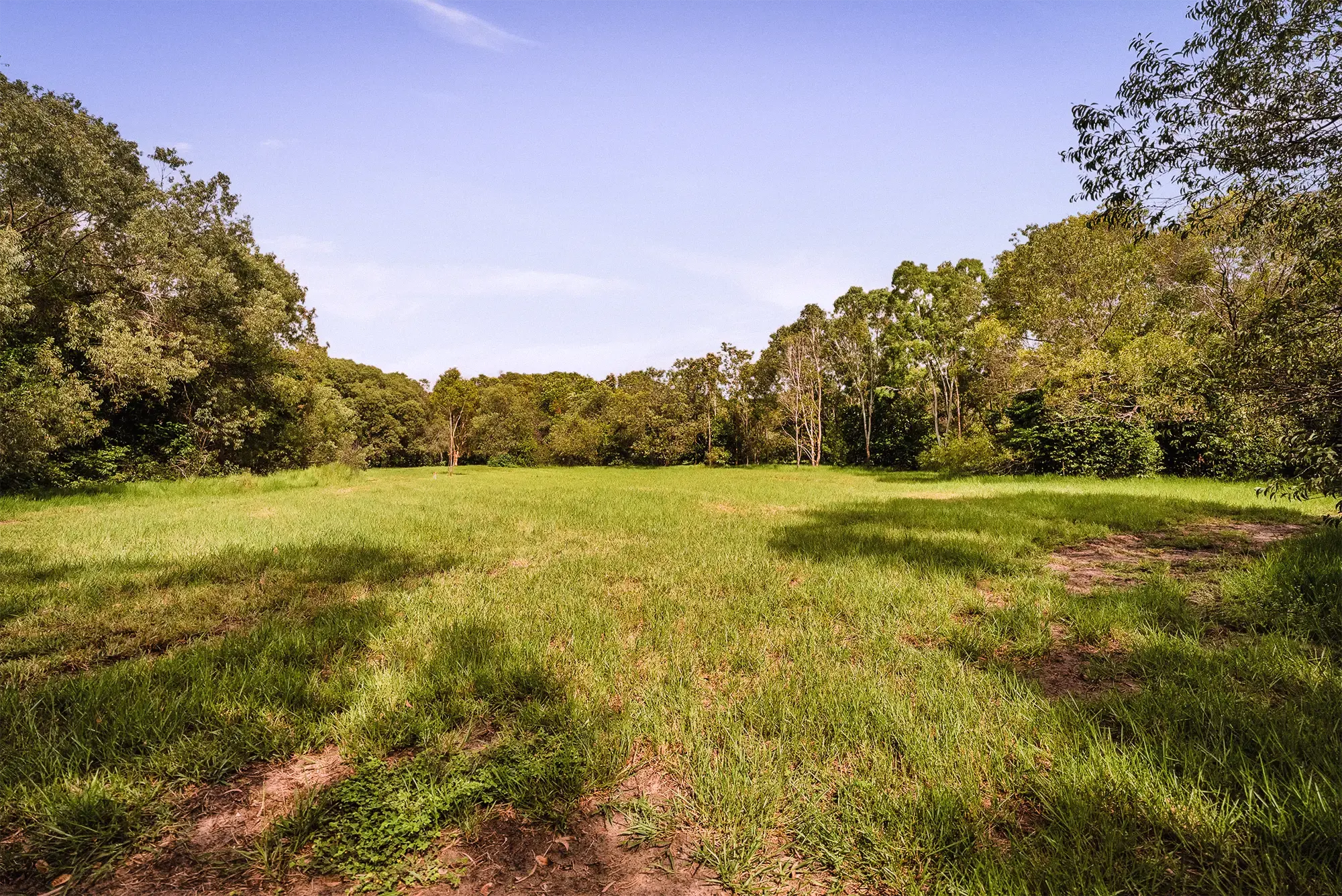 Lot 21 from the ground, looking north-east