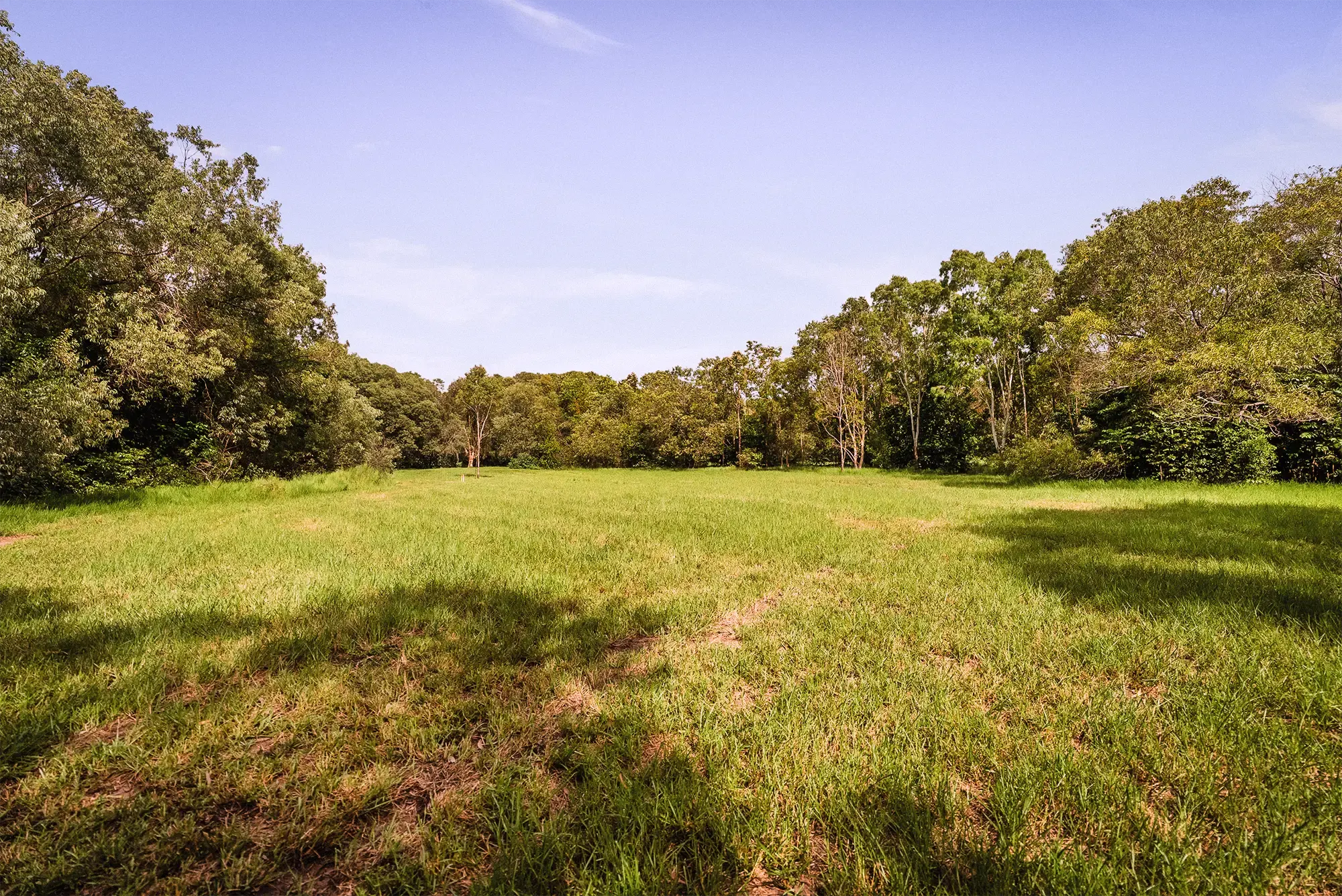 Lot 21 from the ground, looking east