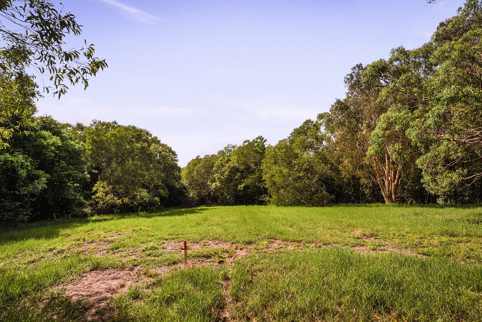 Lot 21 from the ground, looking east