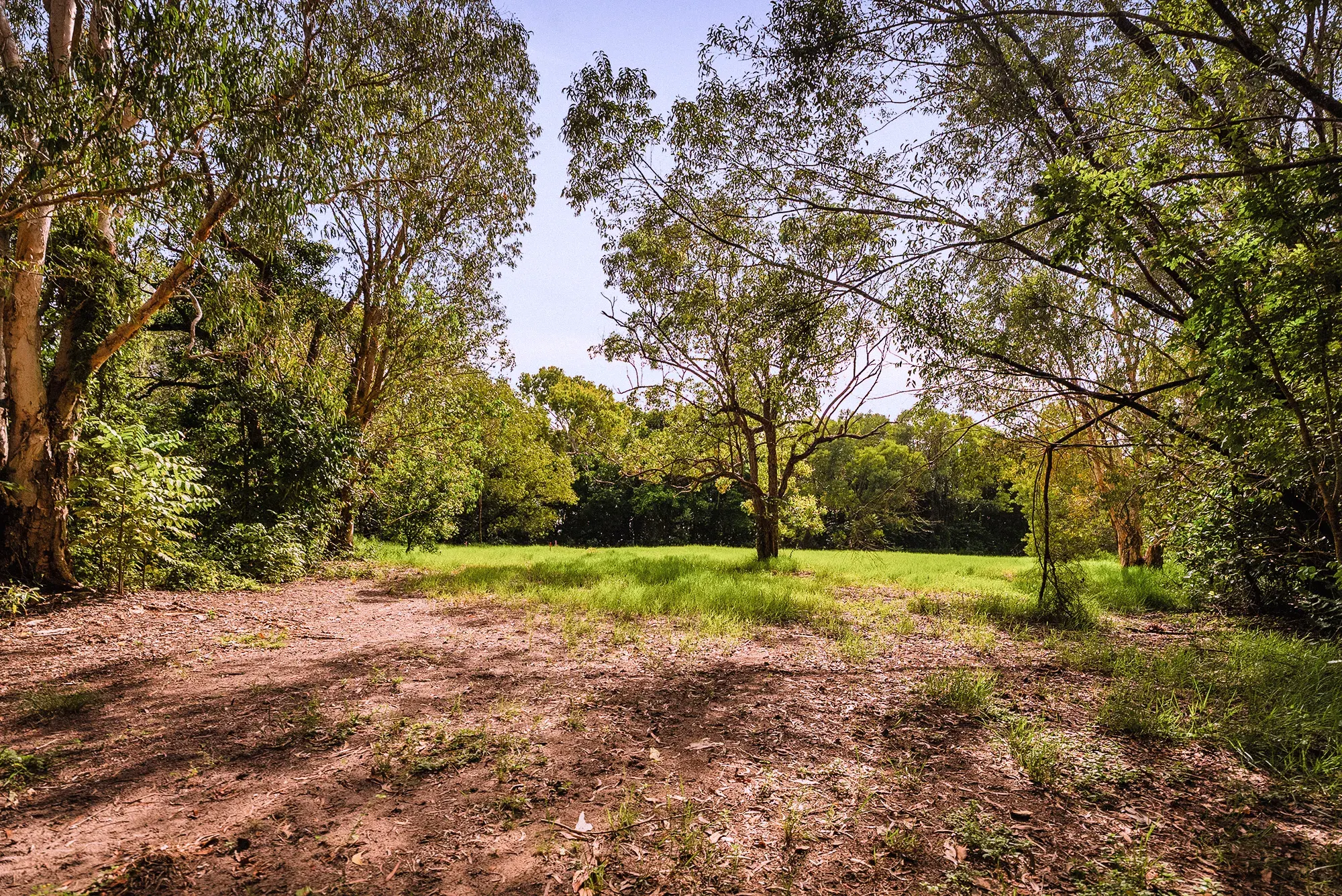 Lot 22 from the ground