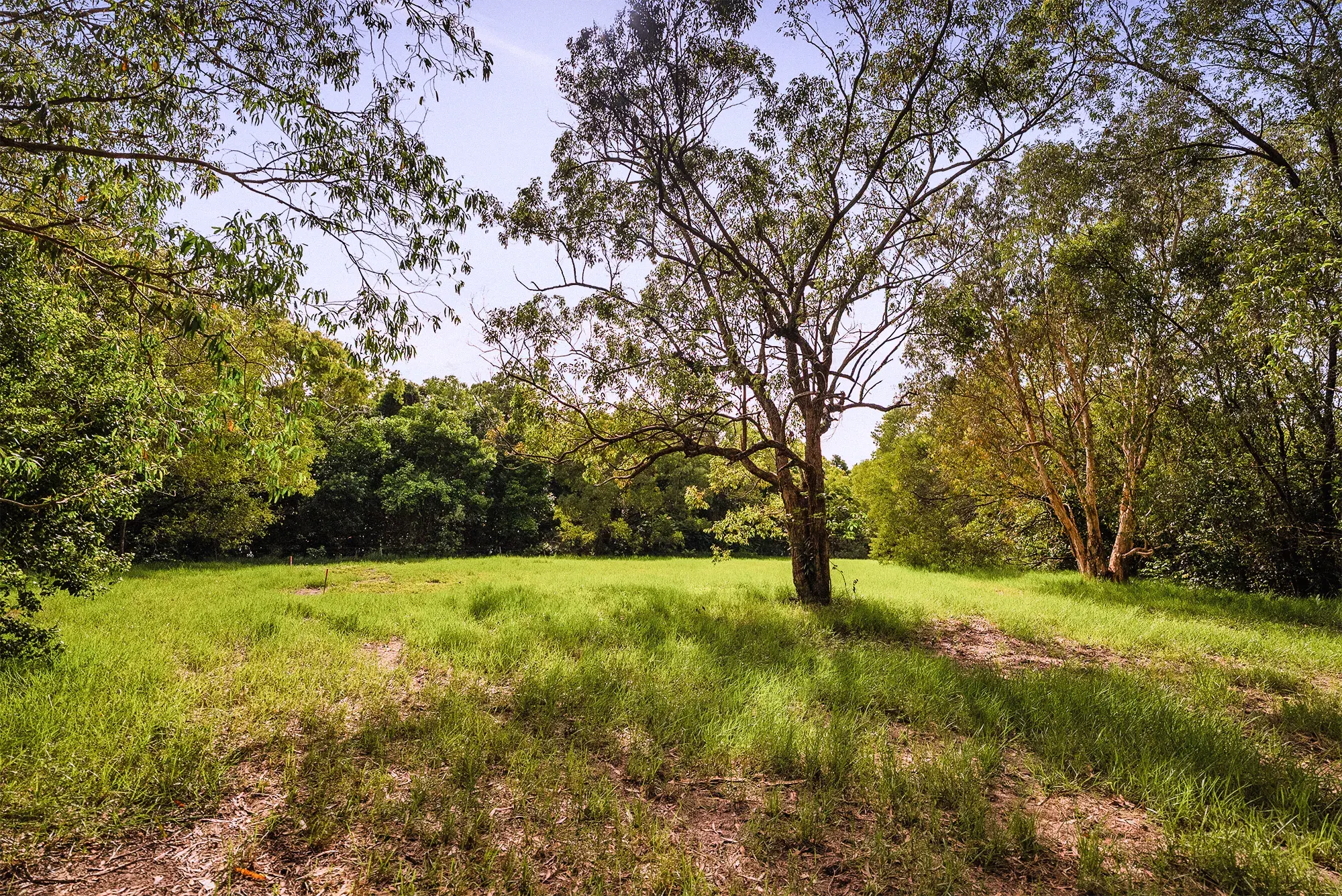 Lot 22 from the ground