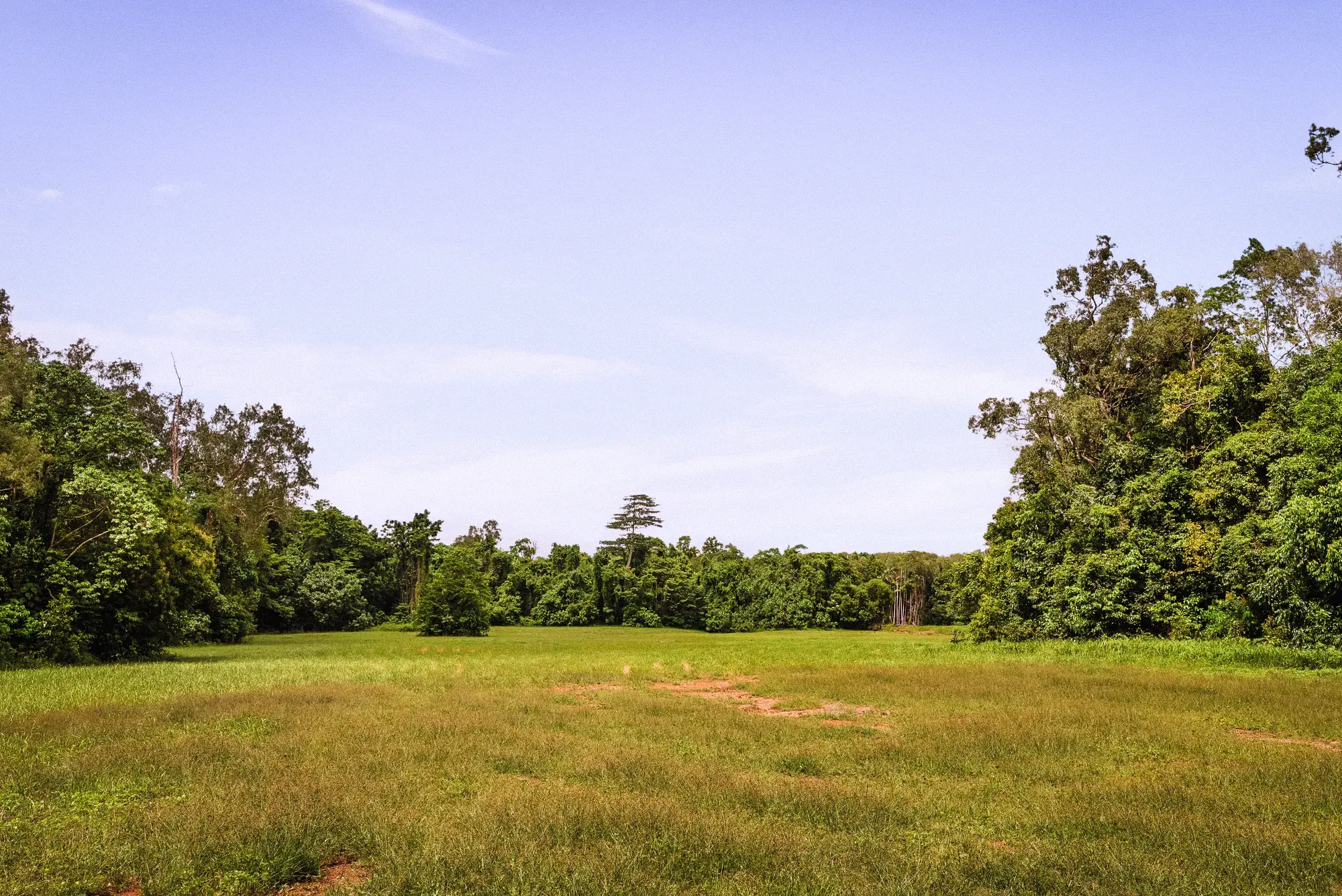 Lot 25 from the ground