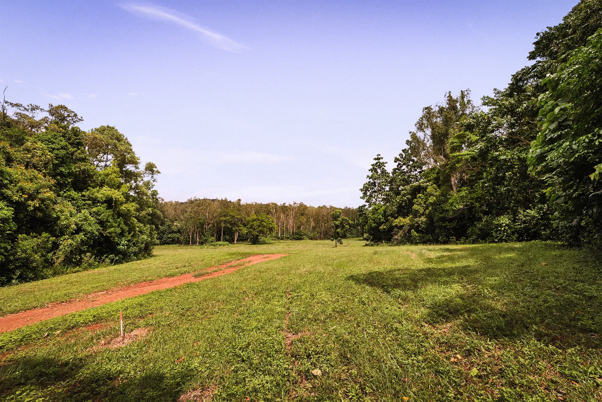Lot 25 from the ground