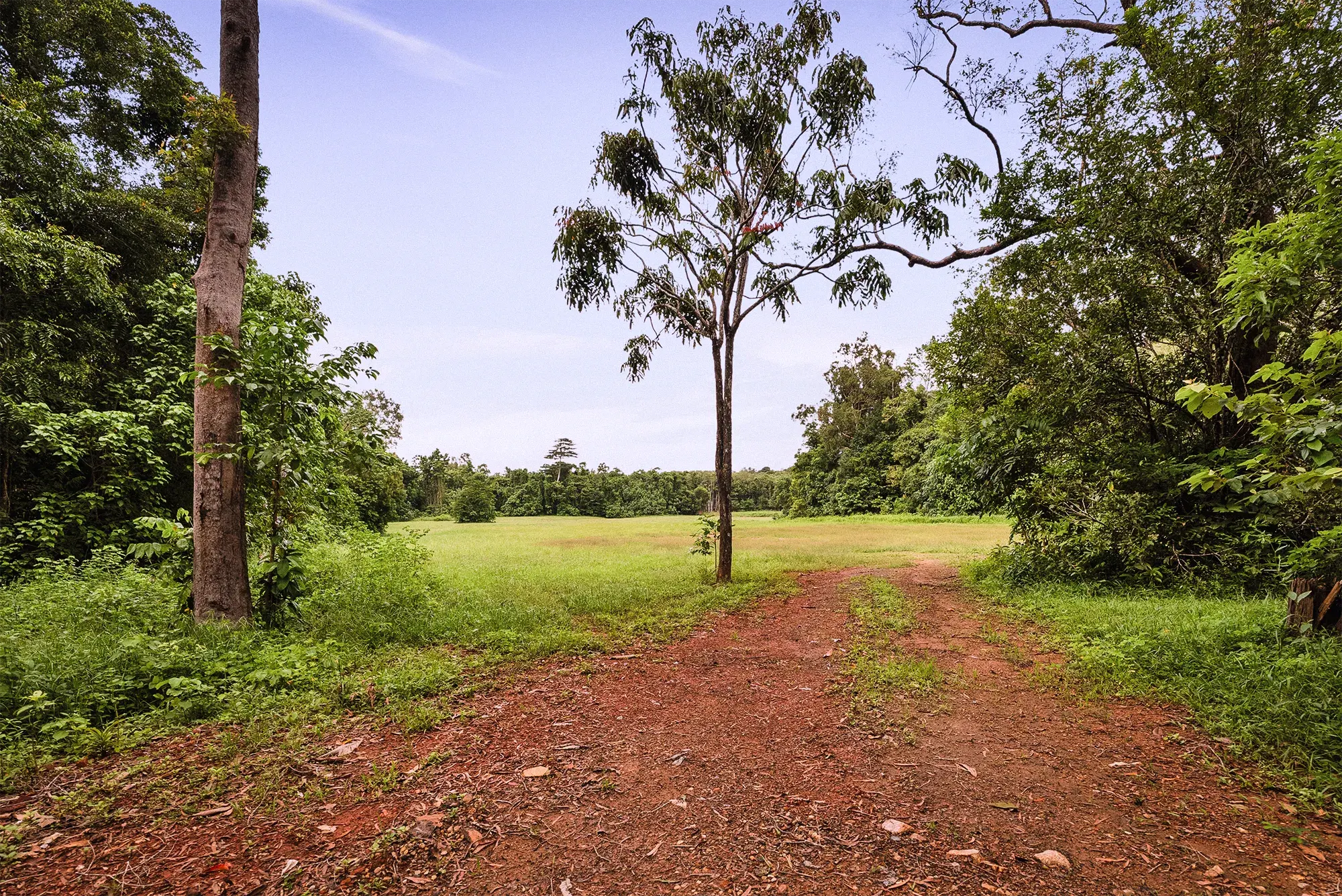 Lot 25 from the ground
