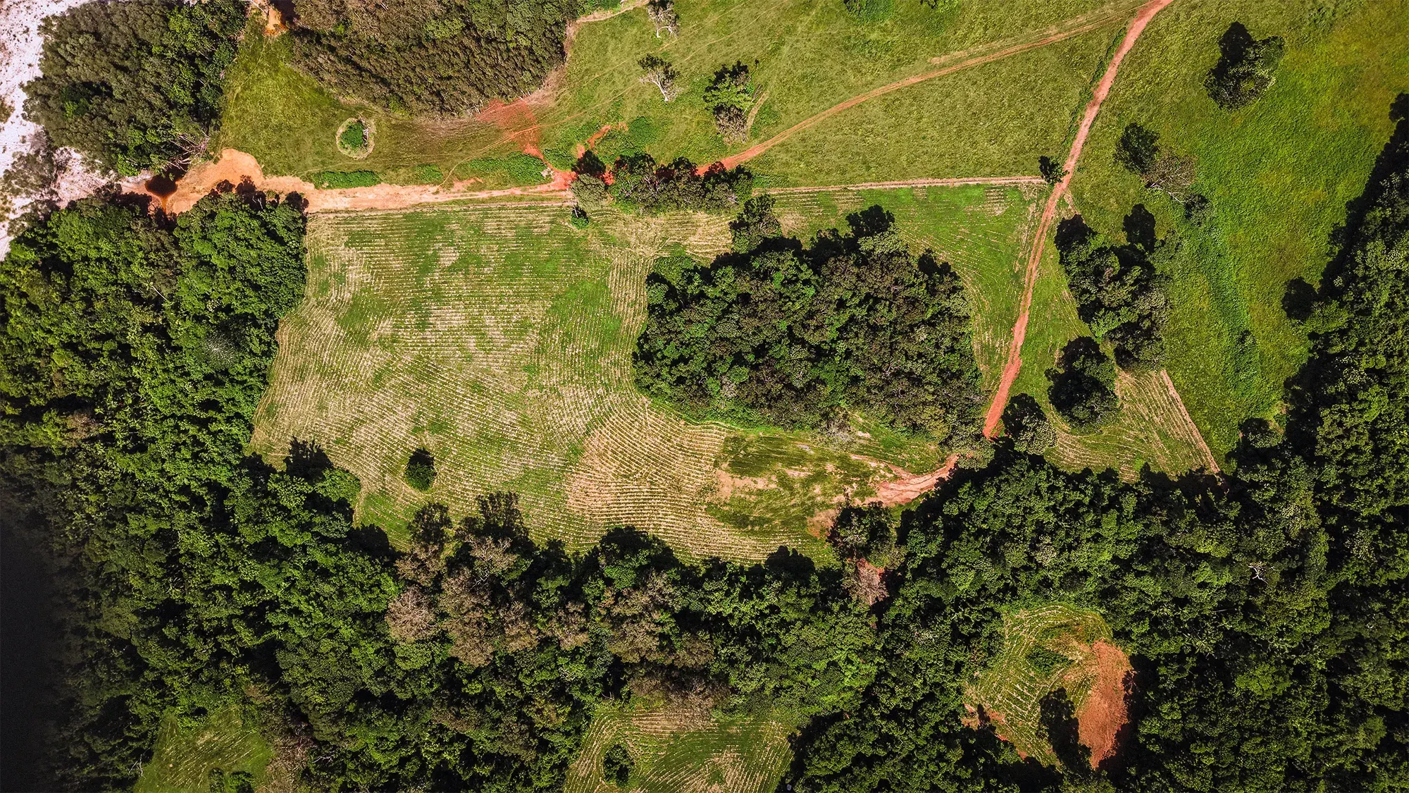 Lot 25 from directly above, the surveyed boundary drawn over the clean plan aerial